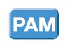 PAM (амплитудно–импульсная модуляция)